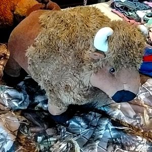 Stuffed, Standing Buffalo